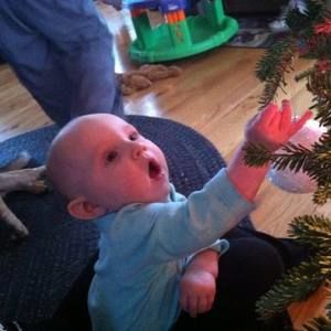 Meet your Posher, Renee